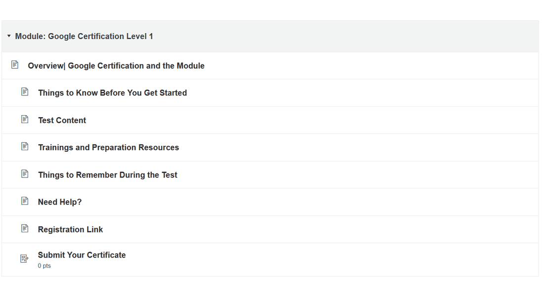 The Google Certification Level 1 module in Canvas, listing its eight pages